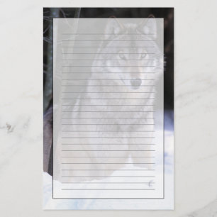 Nordamerika, Kanada, Ostkanada, Grauwolf Briefpapier