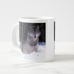 Nordamerika, Kanada, Ostkanada, Grauwolf Jumbo-Tasse