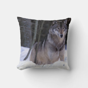 Nordamerika, Kanada, Ostkanada, Grauwolf Kissen