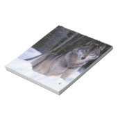 Nordamerika, Kanada, Ostkanada, Grauwolf Notizblock (Rotiert)