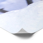 Nordamerika, Kanada, Ostkanada, Grauwolf Poster (Ecke)