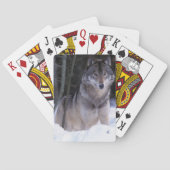 Nordamerika, Kanada, Ostkanada, Grauwolf Spielkarten (Rückseite)