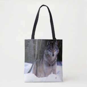 Nordamerika, Kanada, Ostkanada, Grauwolf Tasche