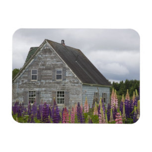 Nordamerika, Kanada, Prince Edward Island, Magnet