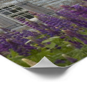 Nordamerika, Kanada, Prince Edward Island, Poster (Ecke)