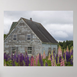 Nordamerika, Kanada, Prince Edward Island, Poster