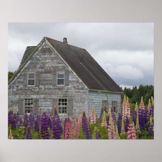 Nordamerika, Kanada, Prince Edward Island, Poster (Vorne)