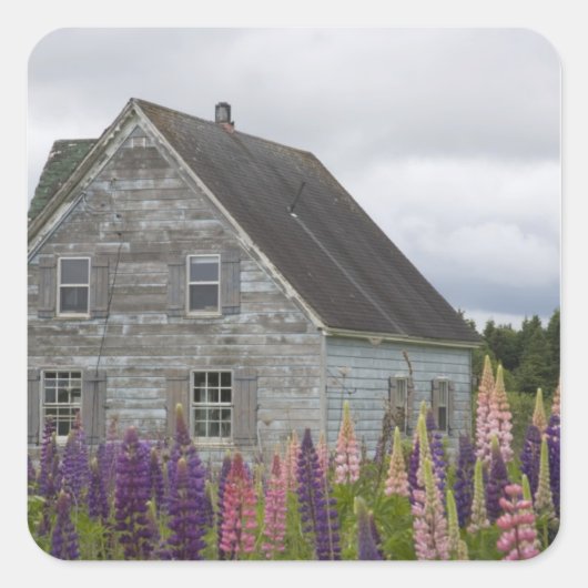 Nordamerika, Kanada, Prince Edward Island, Quadratischer Aufkleber (Vorderseite)