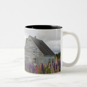 Nordamerika, Kanada, Prince Edward Island, Zweifarbige Tasse