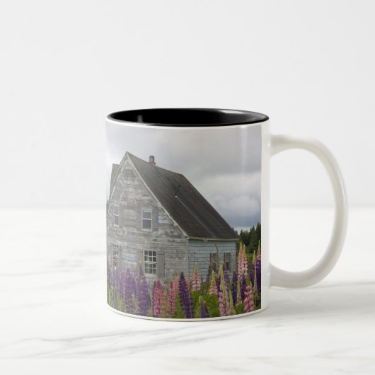 Nordamerika, Kanada, Prince Edward Island, Zweifarbige Tasse (Rechts)