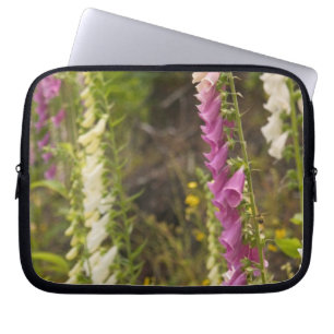 Nordamerika, Kanada, Queen Charlotte Islands, 2 Laptopschutzhülle