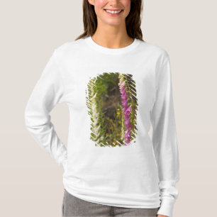 Nordamerika, Kanada, Queen Charlotte Islands, 2 T-Shirt