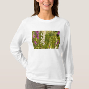 Nordamerika, Kanada, Queen Charlotte Islands, 5 T-Shirt