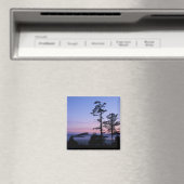 Nordamerika, Kanada, Vancouver Island, Bäume Magnet (In Situ (Geschirrspüler))