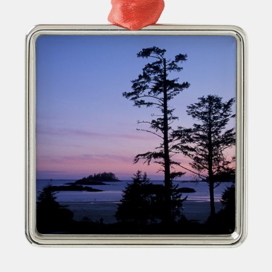 Nordamerika, Kanada, Vancouver Island, Bäume Ornament Aus Metall (Vorne)