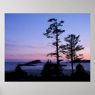 Nordamerika, Kanada, Vancouver Island, Bäume Poster