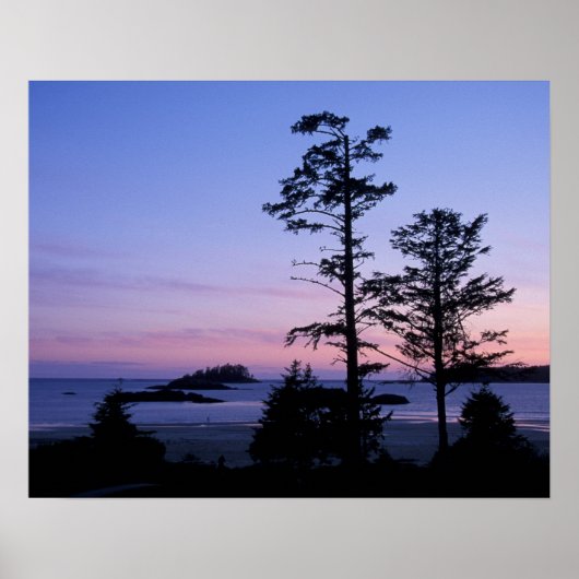 Nordamerika, Kanada, Vancouver Island, Bäume Poster (Vorne)