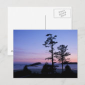 Nordamerika, Kanada, Vancouver Island, Bäume Postkarte (Vorne/Hinten)