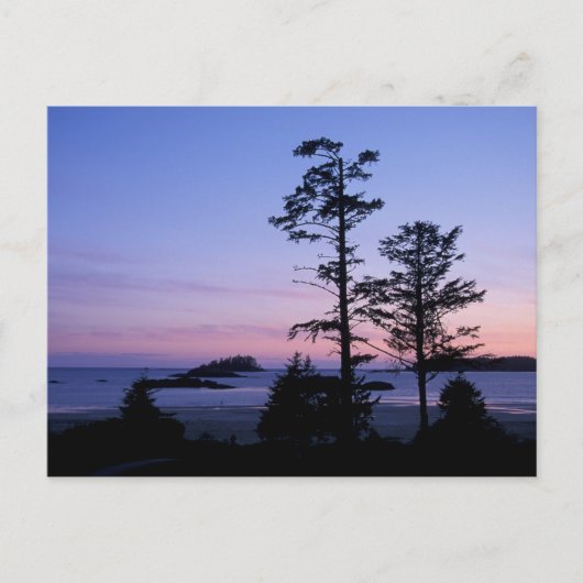 Nordamerika, Kanada, Vancouver Island, Bäume Postkarte (Vorderseite)