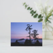 Nordamerika, Kanada, Vancouver Island, Bäume Postkarte (Stehend Vorderseite)