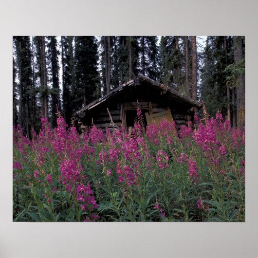 Nordamerika, Kanada, Yukon. Abandonierte Trapper Poster (Vorne)