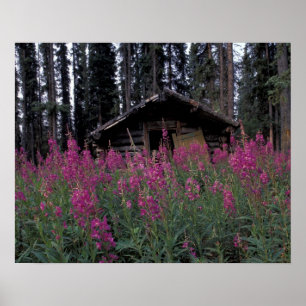 Nordamerika, Kanada, Yukon. Ausgesetzte Anhänger Poster