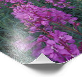 Nordamerika, Kanada, Yukon. Blüten Fotodruck (Ecke)