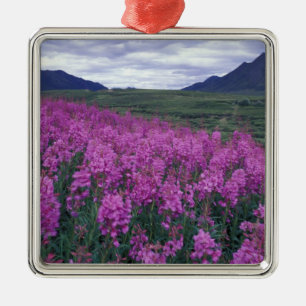 Nordamerika, Kanada, Yukon. Blüten Ornament Aus Metall