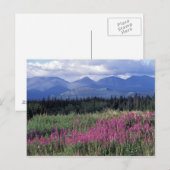 Nordamerika, Kanada, Yukon. Blüten Postkarte (Vorne/Hinten)