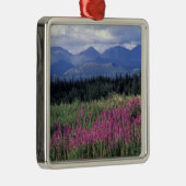 Nordamerika, Kanada, Yukon. Blüten Silbernes Ornament (Rechts)