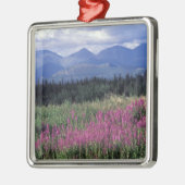 Nordamerika, Kanada, Yukon. Blüten Silbernes Ornament (Links)