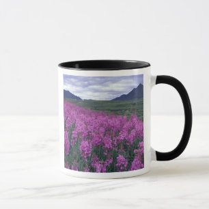 Nordamerika, Kanada, Yukon. Blüten Tasse
