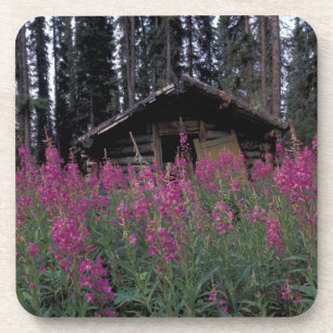 Nordamerika, Kanada, Yukon. Verlassene Fallenstell Untersetzer