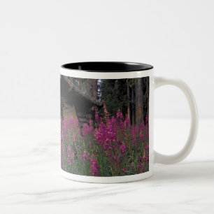 Nordamerika, Kanada, Yukon. Verlassene Fallenstell Zweifarbige Tasse
