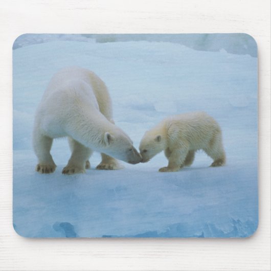 Nordamerika, Kanadische Arktis. Eisbär Mousepad (Vorne)