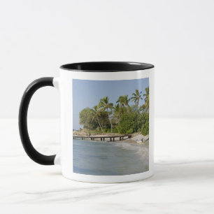 Nordamerika, Karibik, Dominikanische Republik. Tasse