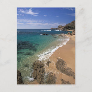 Nordamerika, Mexiko, Baja California Sur, Postkarte