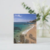 Nordamerika, Mexiko, Baja California Sur, Postkarte (Stehend Vorderseite)