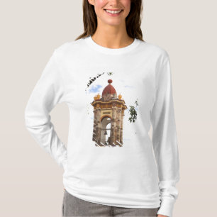 Nordamerika, Mexiko, Bundesstaat Guanajuato, San 5 T-Shirt
