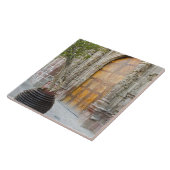 Nordamerika, Mexiko, Guanajuato Staat, San 3 Fliese (Seite)