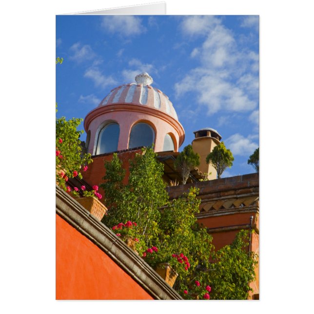 Nordamerika, Mexiko, Staat Guanajuato, San 4 (Vorne)