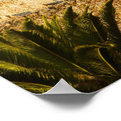 Nordamerika, Mexiko, Staat Guanajuato, San Poster (Ecke)