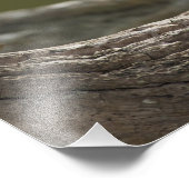 Nordamerika, Nordwesthawaiianische Inseln, 2 Fotodruck (Ecke)