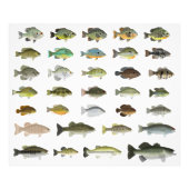 Nordamerika Sunfish Group Fotodruck (Vorne)