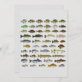 Nordamerika Süßwasserfisch Gruppe Canvas Print (Vorne/Hinten)