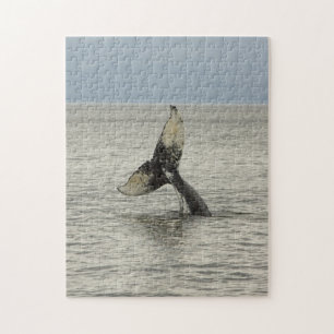Nordamerika, USA, AK, Inside Passage. Buckelwal Puzzle