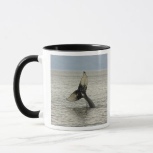 Nordamerika, USA, AK, Inside Passage. Buckelwal Tasse