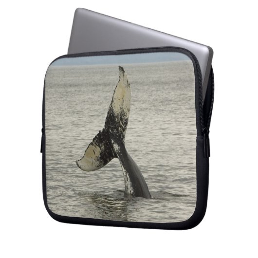 Nordamerika, USA, AK, Inside Passage. Humpback Laptopschutzhülle (Vorderseite Links)