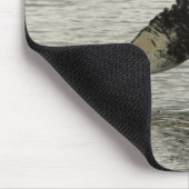 Nordamerika, USA, AK, Inside Passage. Humpback Mousepad (Ecke)