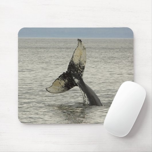 Nordamerika, USA, AK, Inside Passage. Humpback Mousepad (Mit Mouse)